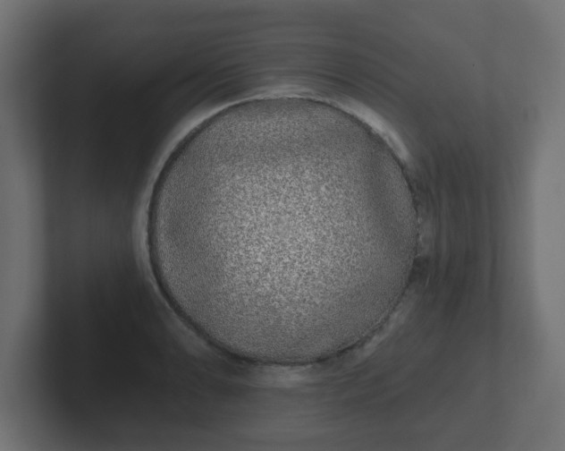 X0000102801086200808251044