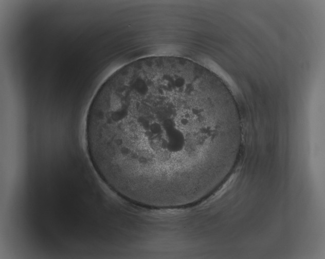 X0000102801087200808251044