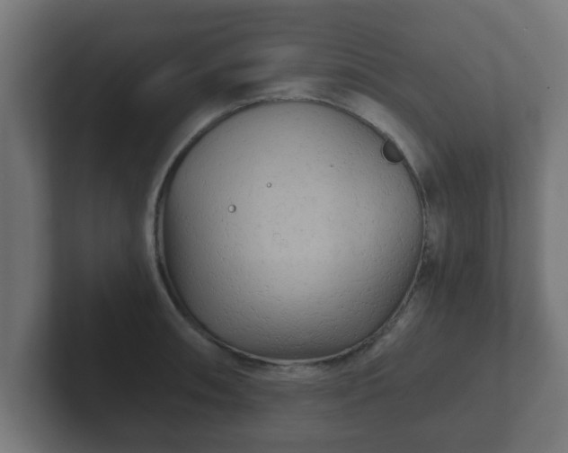 X0000102801090200808251044