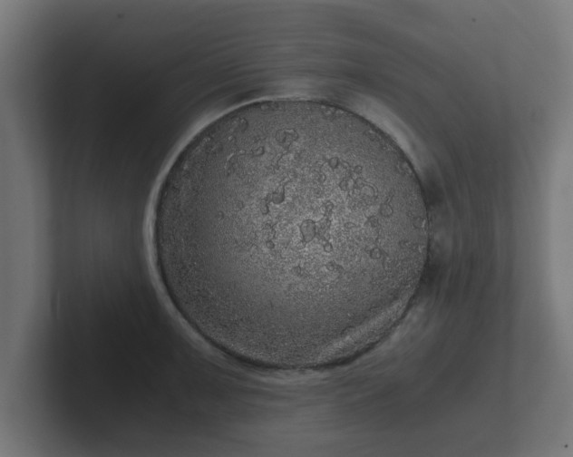 X0000102801091200808251044