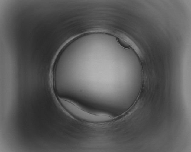 X0000102801092200808251044