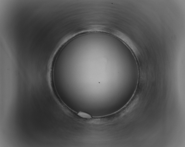 X0000102801093200808251044