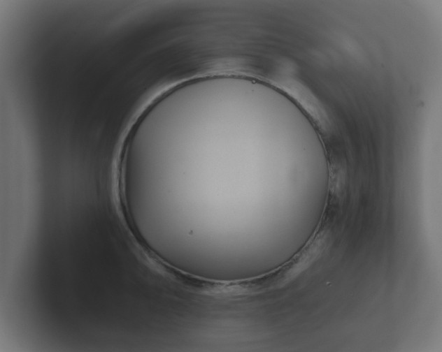 X0000102801094200808251044