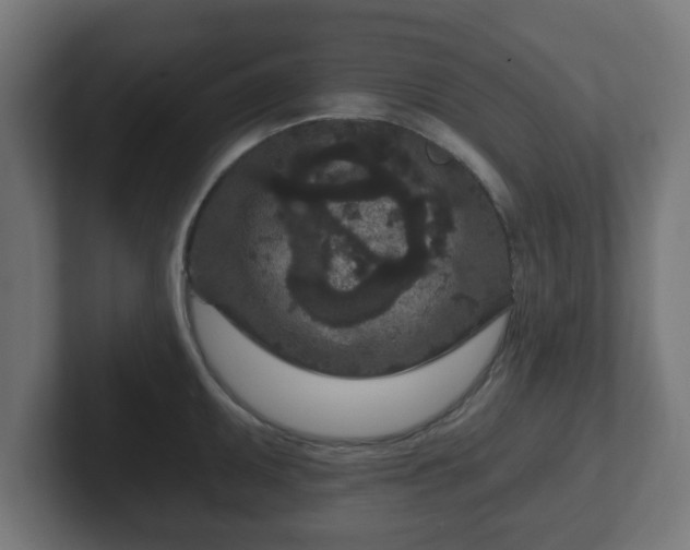 X0000102801095200808251044