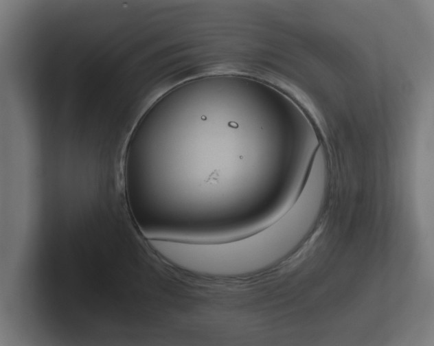 X0000102801097200808251044