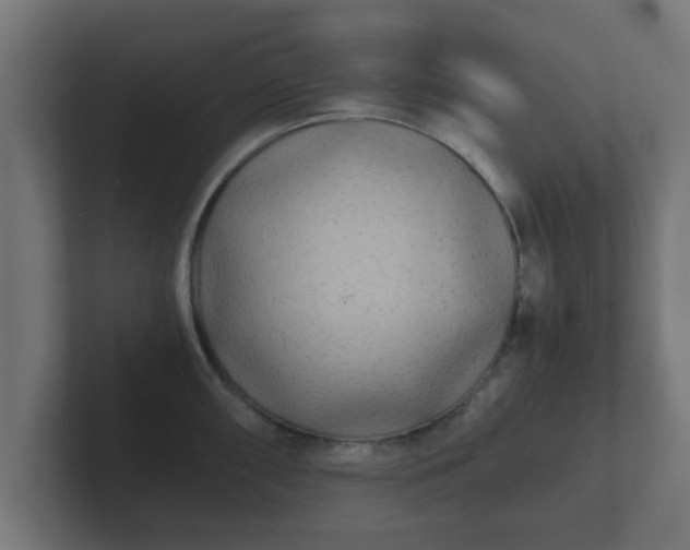 X0000102801098200808251044