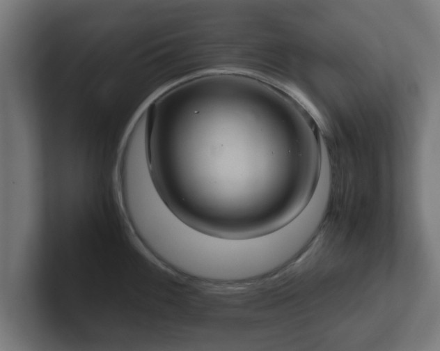 X0000102801100200808251044