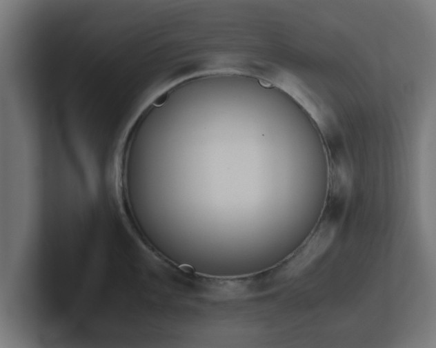 X0000102801101200808251044