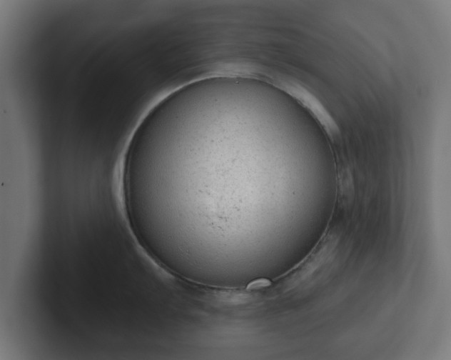 X0000102801103200808251044