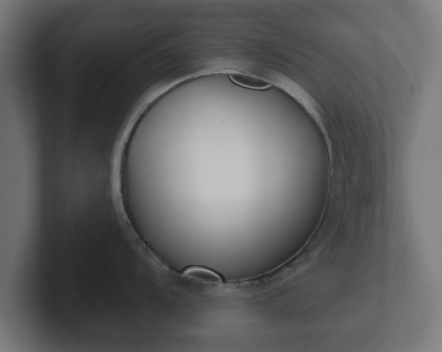 X0000102801104200808251044