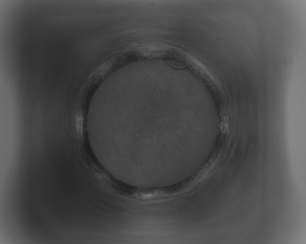 X0000102801108200808251043