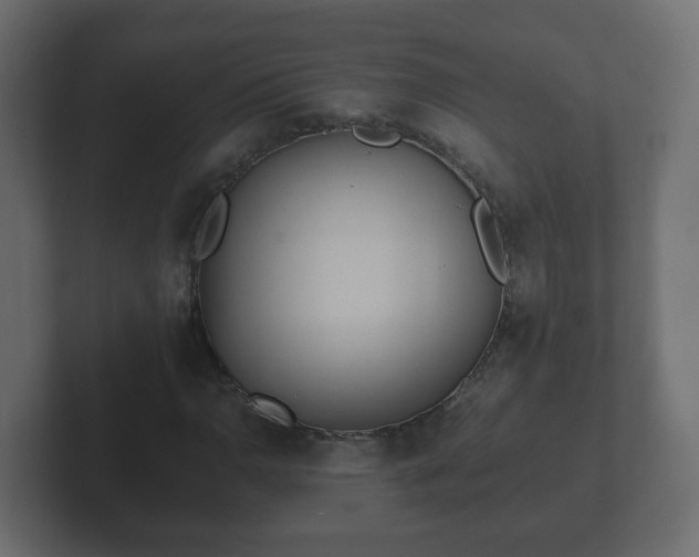 X0000102801110200808251043