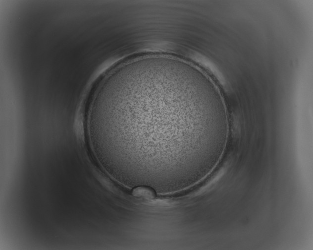 X0000102801114200808251043