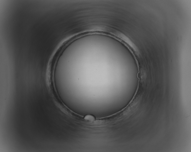 X0000102801116200808251043