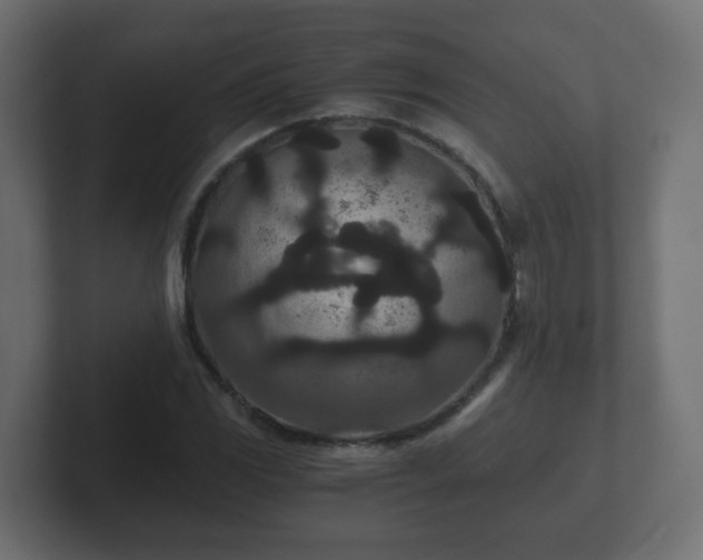 X0000102801117200808251043