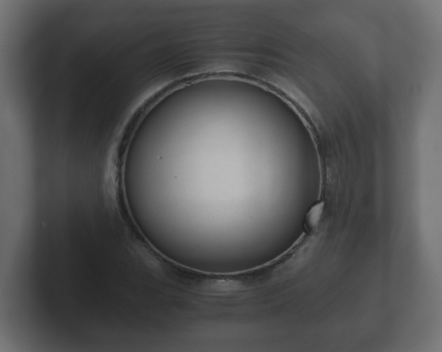 X0000102801119200808251043