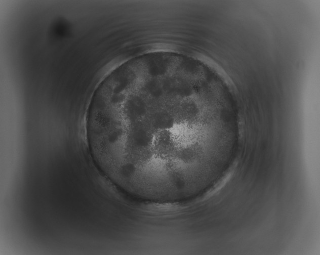 X0000102801121200808251043