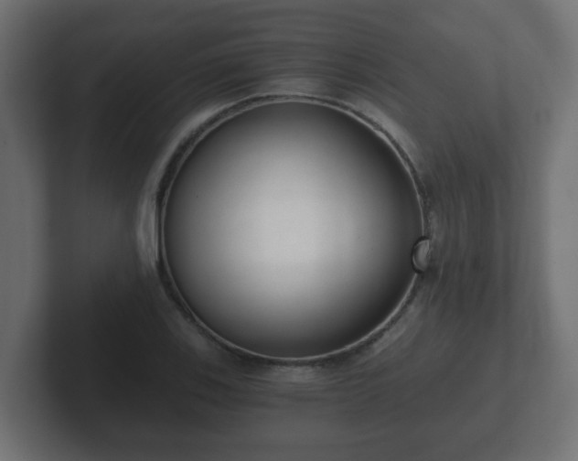 X0000102801123200808251043
