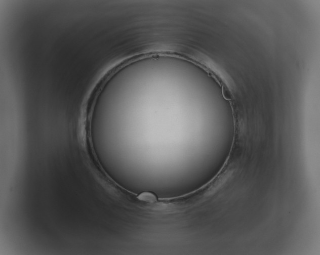 X0000102801124200808251043