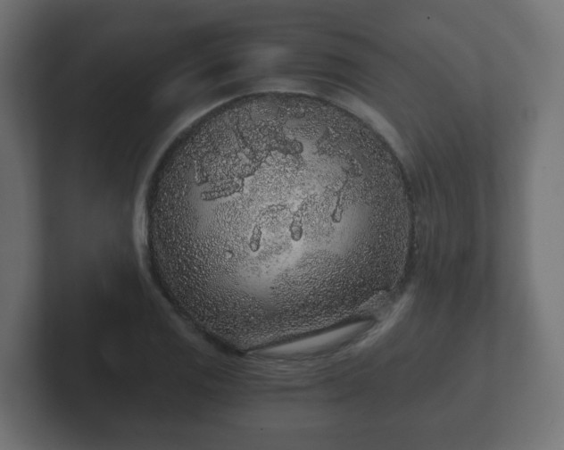 X0000102801125200808251043