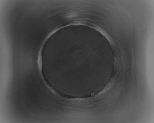 X0000102801127200808251043