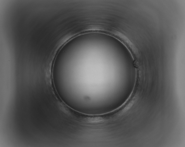 X0000102801129200808251043