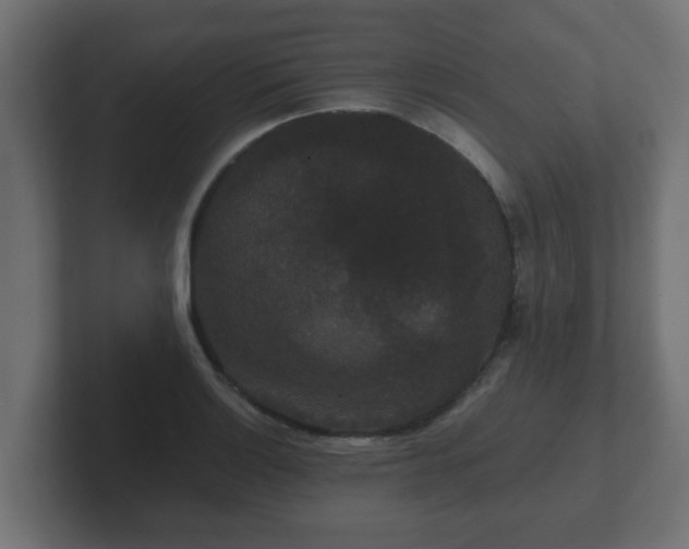 X0000102801132200808251043