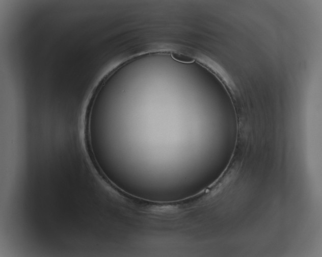 X0000102801135200808251043