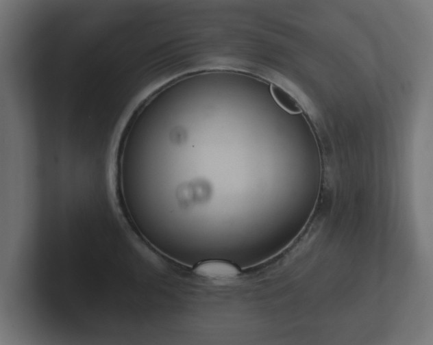X0000102801136200808251043