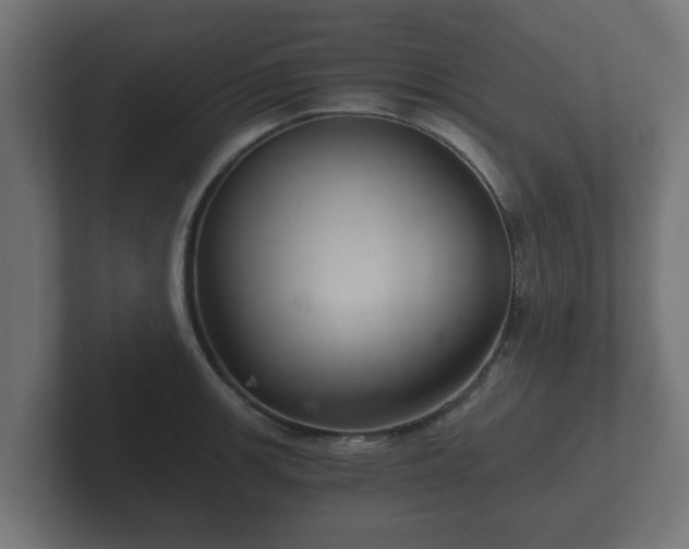 X0000102801139200808251043