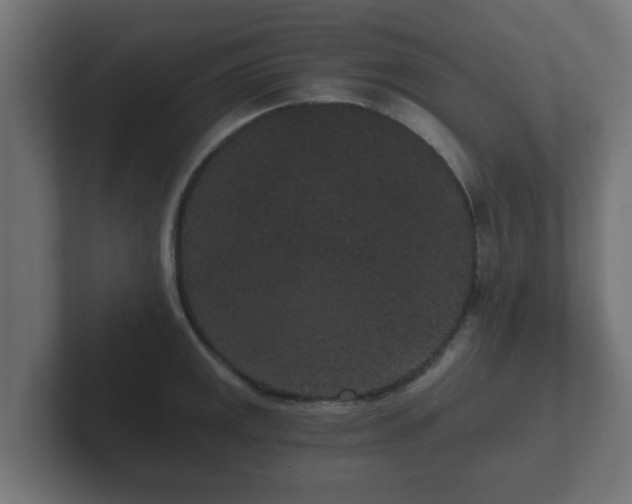 X0000102801141200808251044