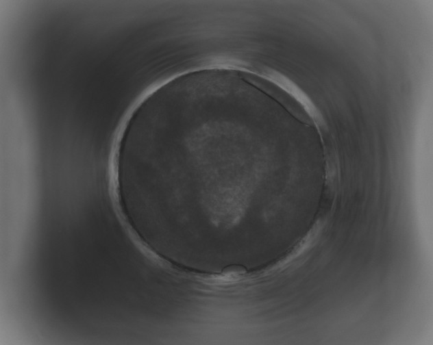 X0000102801144200808251044