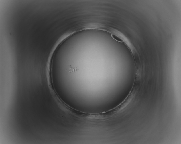 X0000102801146200808251044