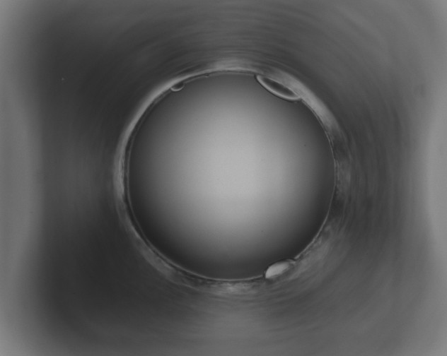 X0000102801148200808251044