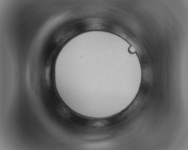 X0000102801150200808251044