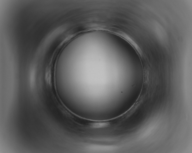 X0000102801151200808251044