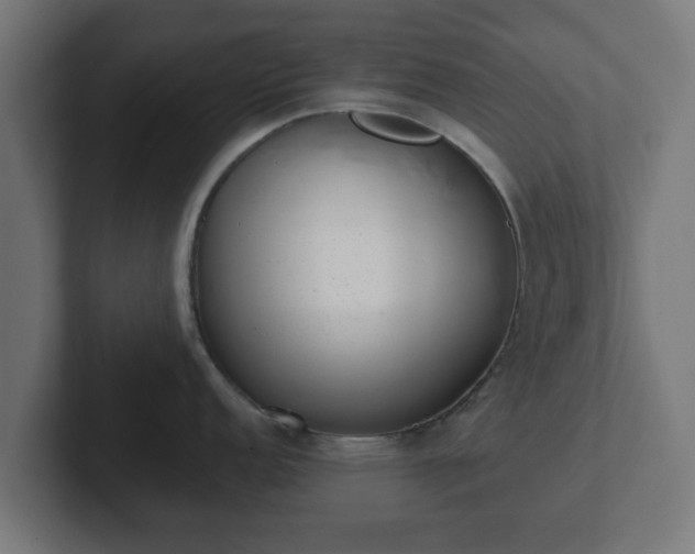 X0000102801152200808251044