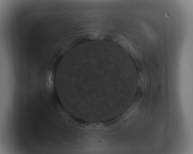 X0000102801154200808251043