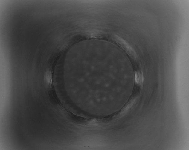 X0000102801155200808251043