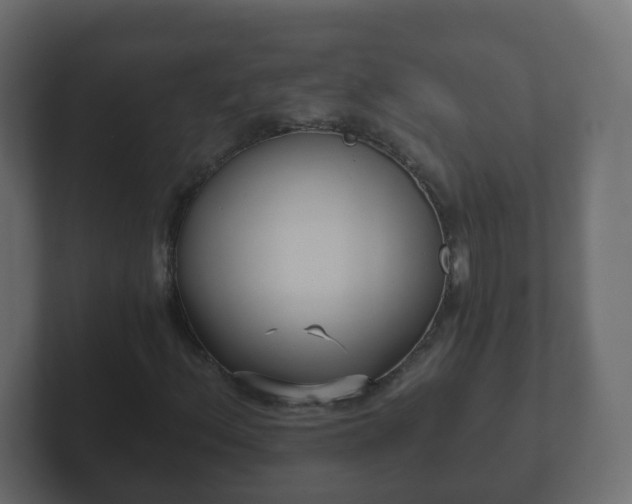 X0000102801156200808251043