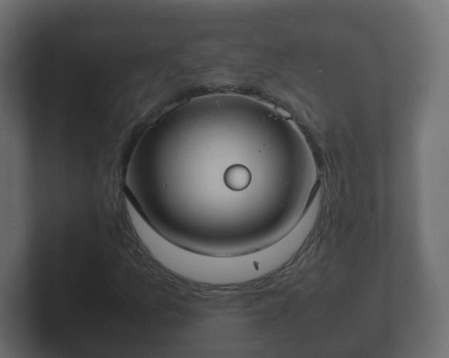 X0000102801157200808251043