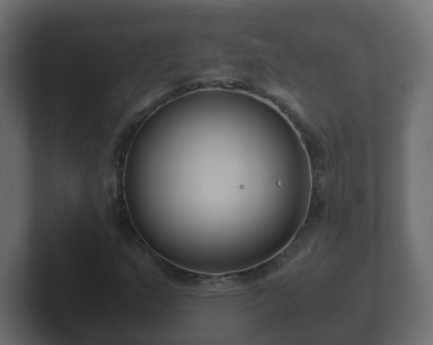 X0000102801159200808251043