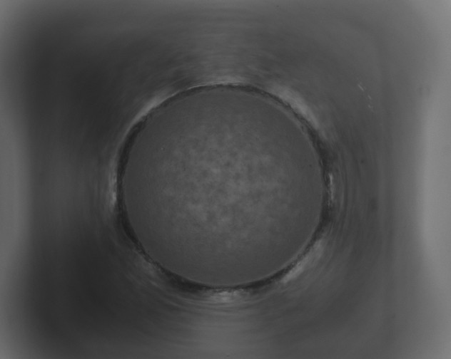 X0000102801165200808251043