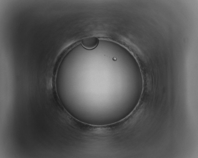 X0000102801166200808251043