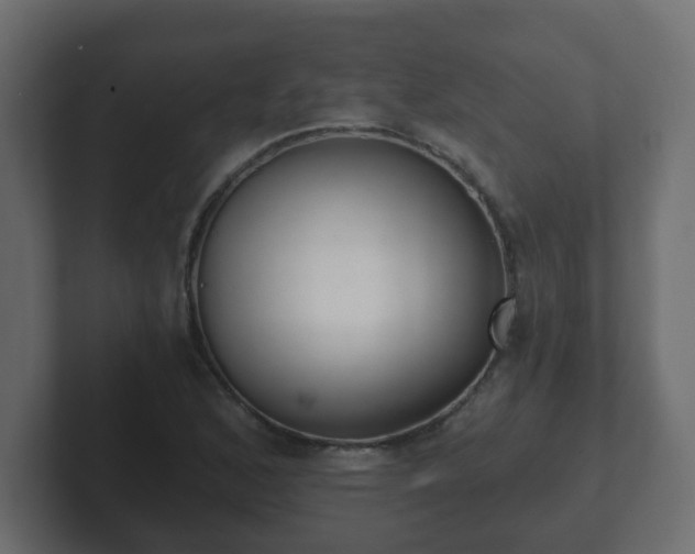 X0000102801168200808251043