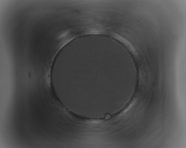 X0000102801170200808251043