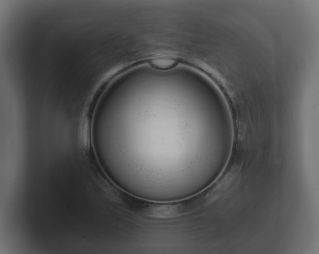 X0000102801171200808251043