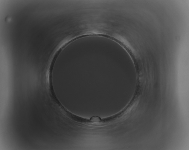 X0000102801173200808251043