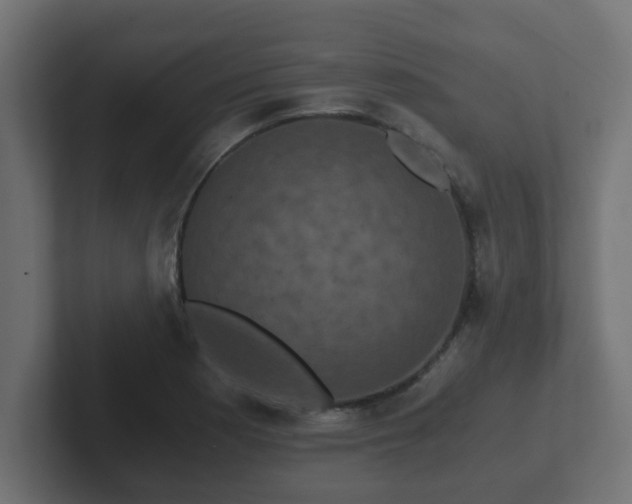 X0000102801177200808251043
