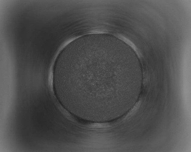 X0000102801179200808251043